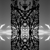 920435 159c905186 o